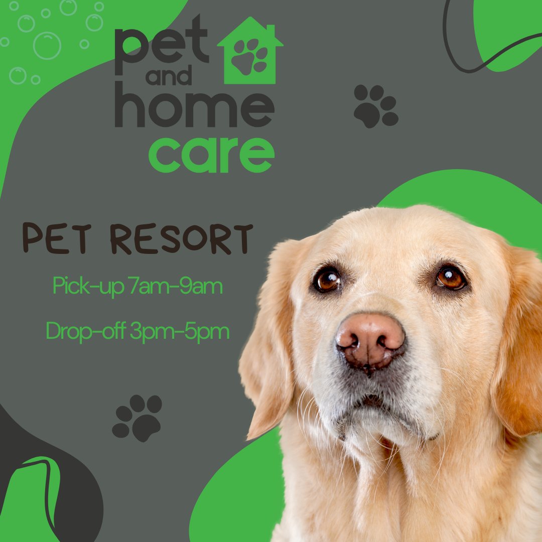 PetandHomeCare's tweet image. Don't want to leave your pup home alone? Bring them into our beautiful pet resort where they will be pampered from fun to food 🐶

petandhomecare.com
301-PET-CARE

#petandhomecare #petcare #dogdaycare #petresort #petresortfun #doggyresort #doggyfun