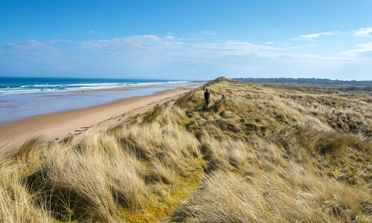 ScotWildlife's tweet image. Controversial plans, approved by @HighlandCouncil, to build a golf course on one of Scotland’s important &amp;amp; last remaining undeveloped dune systems, Coul Links, has been called in by the @scotgov 

scottishwildlifetrust.org.uk/news/ministers…

#SaveCoulLinks  @lornaslater @JoeFitzSNP 

📸© Vince Lowe