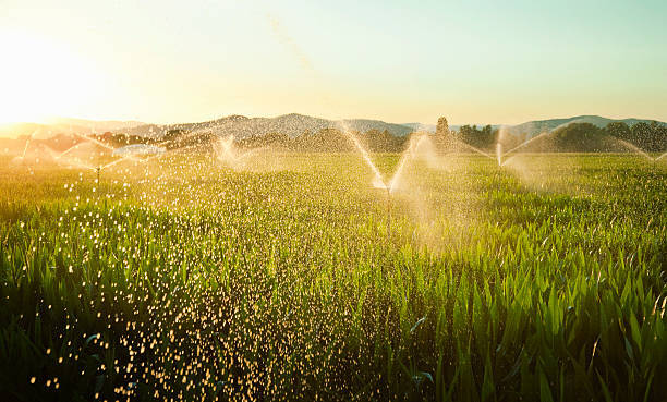 IrrigationAz tweet picture