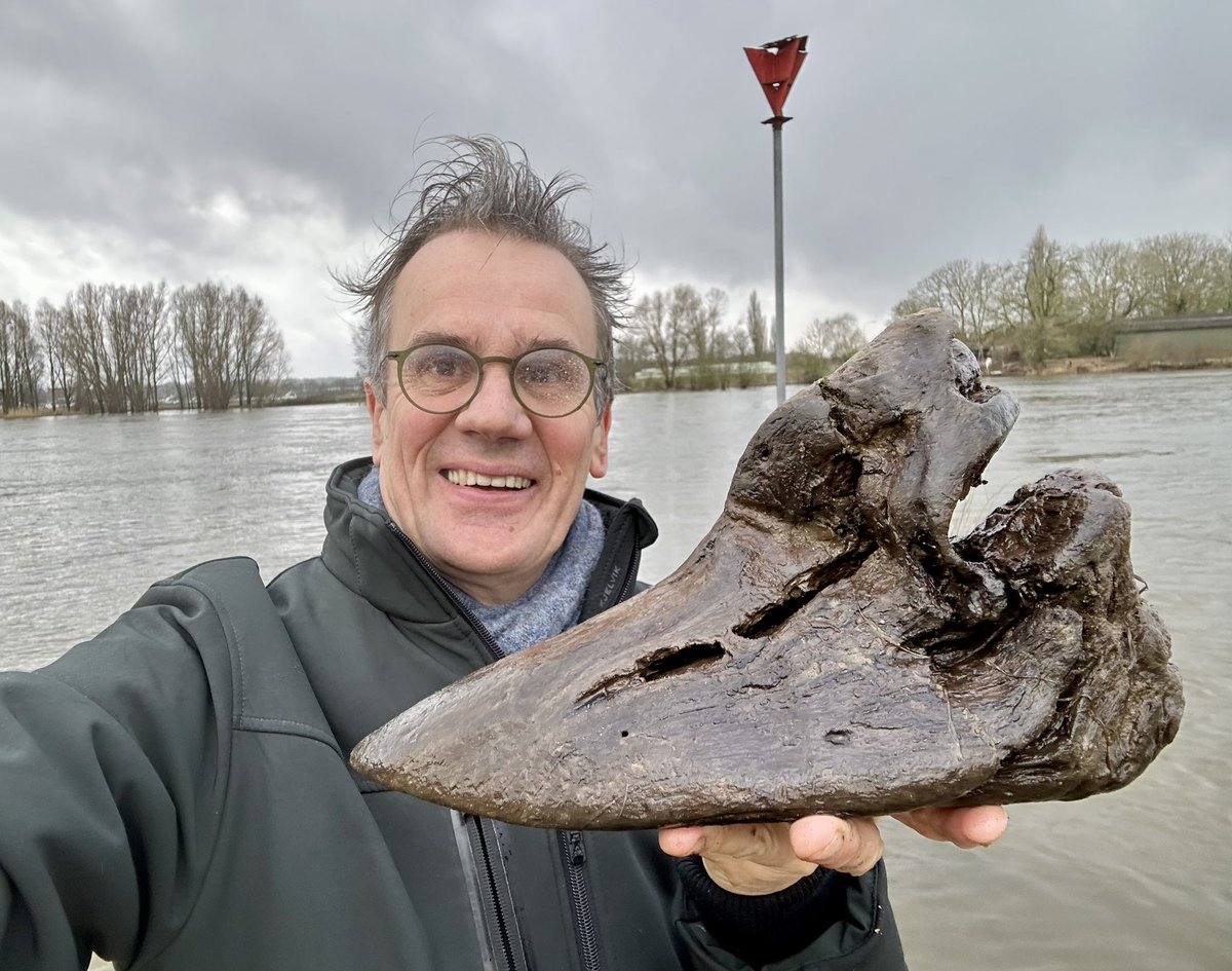 Soms vind je een stuk rivierhout dat je fantasie op hol brengt.