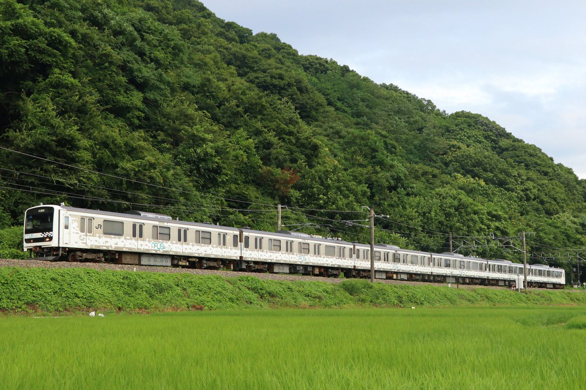 遅くなったけど…
ほんと同一系式に観えないくらいバリエーションあるよね
#209系の日