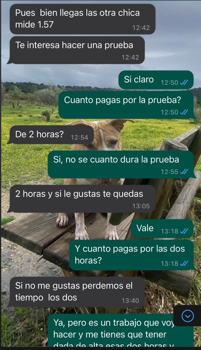 soycamarero's tweet photo. Así deberíamos responder todos en estos casos👏👏👏 https://t.co/R7mPWnV65R