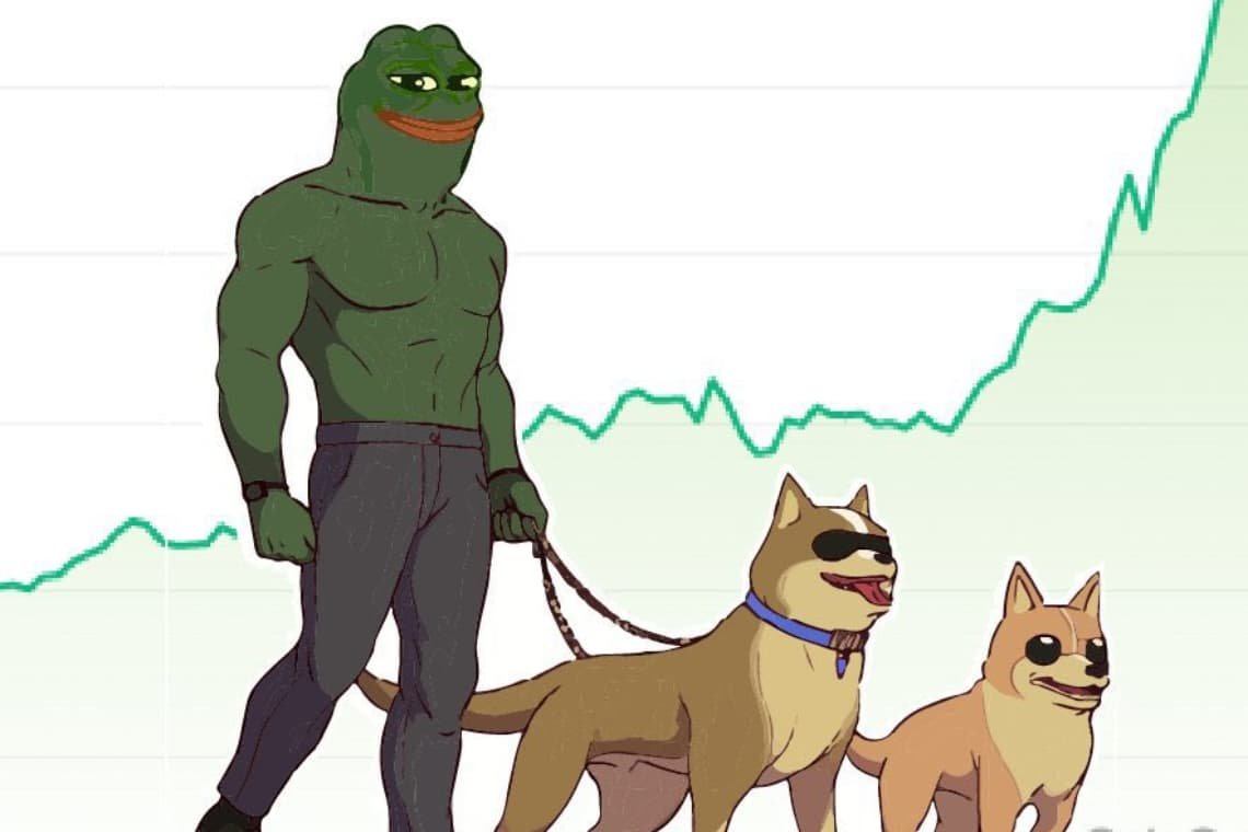 slaqq_official's tweet photo. $BTC @ 47K $ - LET' THE SUPER BULL OUT 🐂

#ETH #BTC #SOL #CRYPTO #BNB https://t.co/k4D37Bl2db