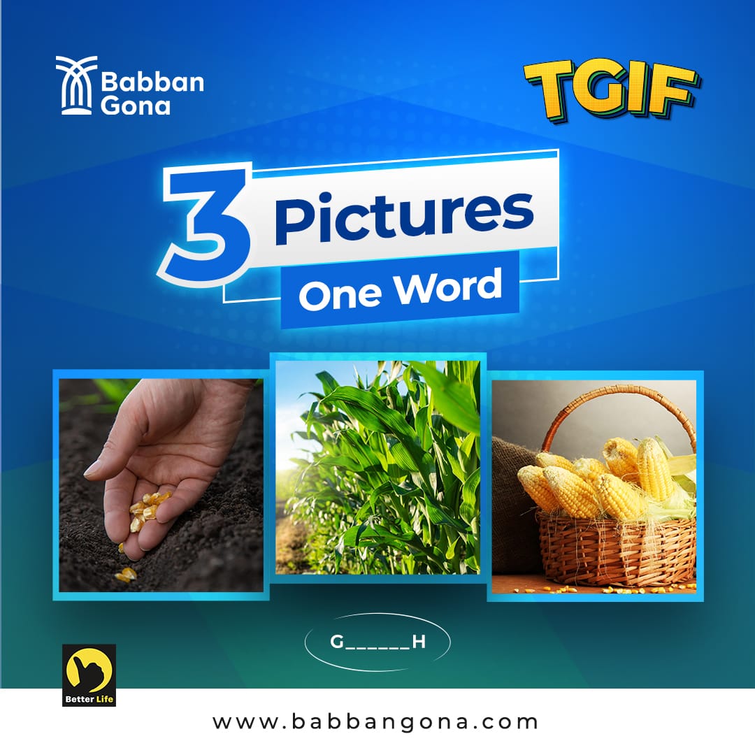BabbanGona's tweet photo. What word comes to mind as you see these pictures? 

Hint: Happens to all living things 😜

Drop your answers in the comment section.

#TGIF 
#BabbanGona
#BetterLife https://t.co/QuOJSIjiNp