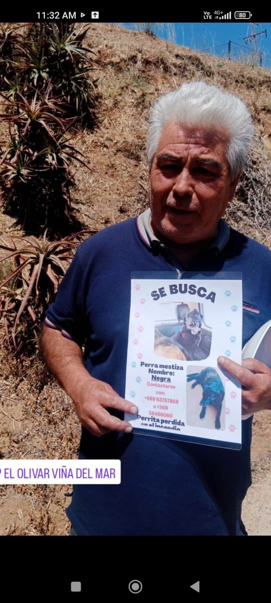 ilovedogs_vale's tweet photo. (Perdidos incendio V región) ME AYUDAN A DARLE RT A ESTOS PERRITOS PORFA!🩷🥺, para que juntos podamos hacer el milagro y regresen con sus familias!!🙏🏻 @carolinapinoc @Carito21Sa @XimenaAG70 @canelapali @SnoopyRossental @Trini_Patriota @BlanquitaMontt @ManuelR46018107 https://t.co/oIbyihFIwJ
