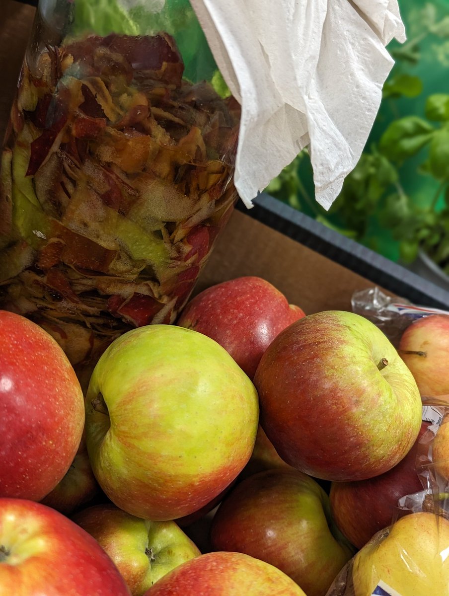 Gor our apple vinegar started after some apple crumble making. Popping in delicious Yorkshire rhubarb from teachers gardens. 
Every day is a chance for adding in seasonal and surplus. Loving incorporating organic delights as much as possible! 
<a href="/connect_tha/">Community Connections at The Halifax Academy</a> <a href="/OrganicNorth/">Organic North</a>