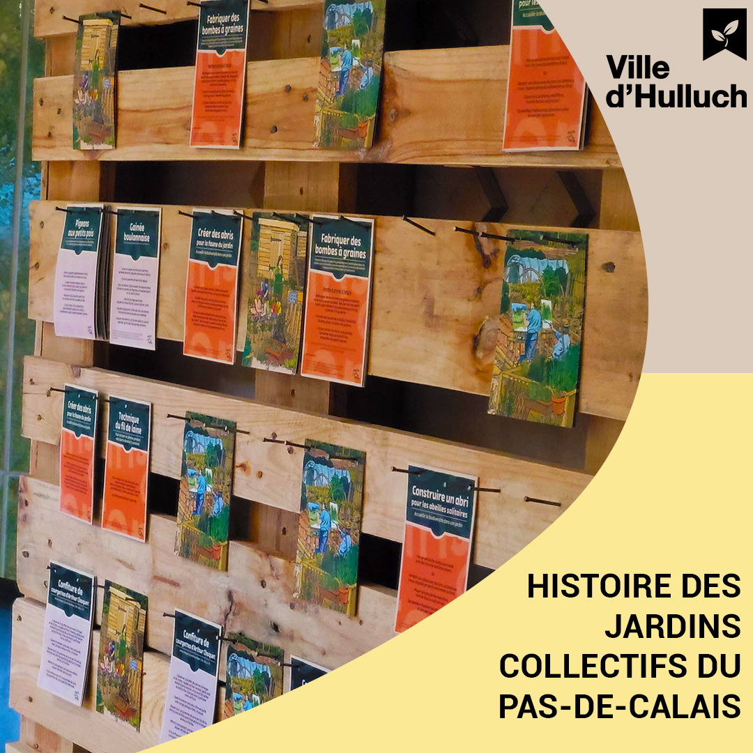 villehulluch's tweet photo. 𝑬𝑿𝑷𝑶 🖼
Jusqu’au 26 février, dans le hall de la mairie, venez découvrir en famille l’exposition " Petits coins de terre ", l’histoire des jardins collectifs du Pas-de-Calais 🌱

Entrée libre ✅
#LensLievin #PasdeCalais https://t.co/j4aVPcwJNJ
