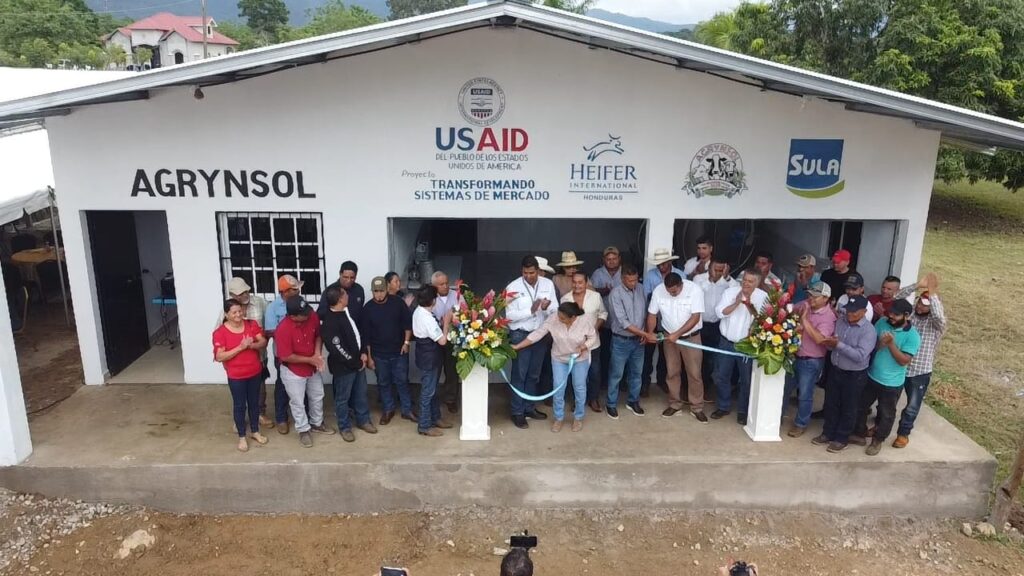 ¡Gran noticia desde El Negrito, Yoro! 🐄🥛 Celebramos junto a la Asociación de Ganaderos y Agricultores Solidarios, la creación del nuevo centro de recolección de leche. @USAIDHonduras @HeiferHonduras. ⬇️ heifer-honduras.org/2024/01/04/el-…
