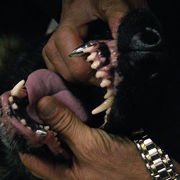 culture jpeg (@culturejpg) on Twitter photo 