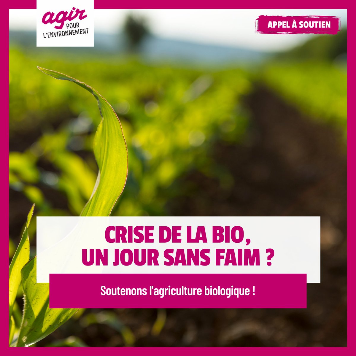 Grande oubliée des annonces qui ont fait suite aux mobilisations paysannes, la filière #bio souffre du mépris durable des gouvernements successifs.

Apportez votre soutien à l'agriculture biologique 👉  lc.cx/soutienbio

Thread ⤵️