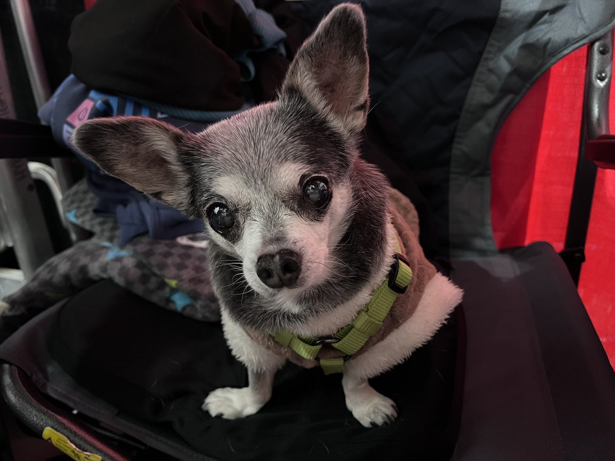 We enjoyed ALA 2024! What a great time with <a href="/gravity_doll/">Gravity Doll</a> and everyone who stopped by! Thank you so much for your support!

Currently our next big convention is Phoenix Fan Fusion in May! Hope to see you there!