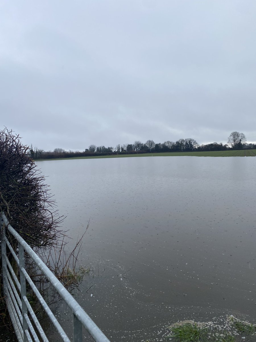 Nigel Williams tweet media