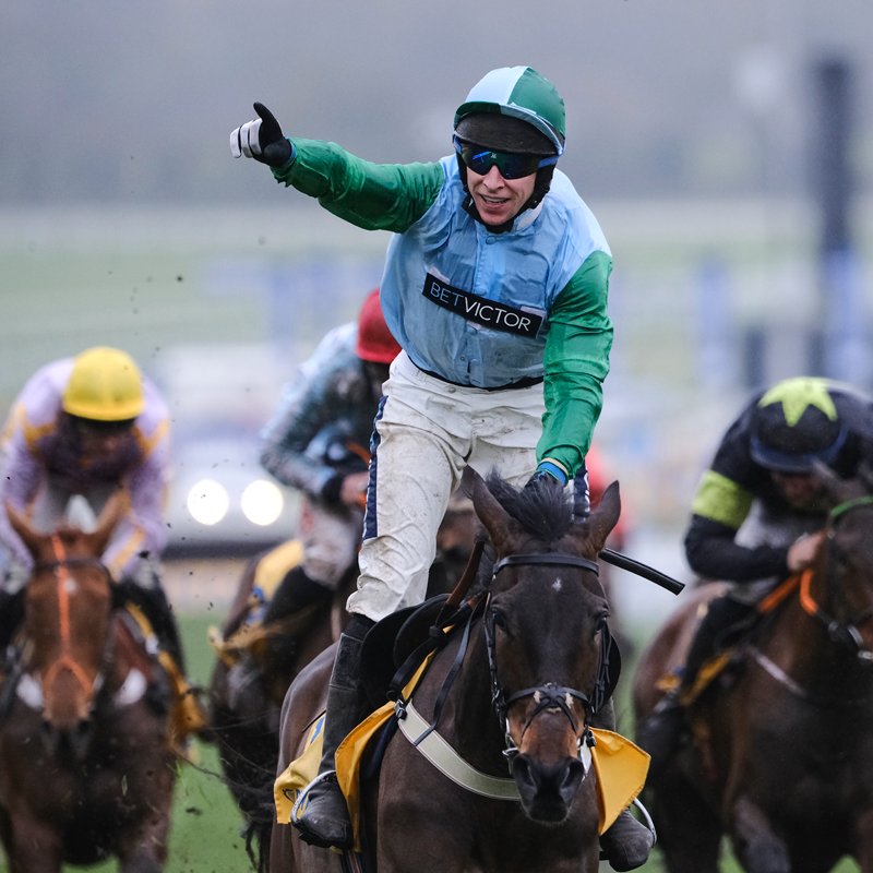 CheltenhamRaces tweet picture