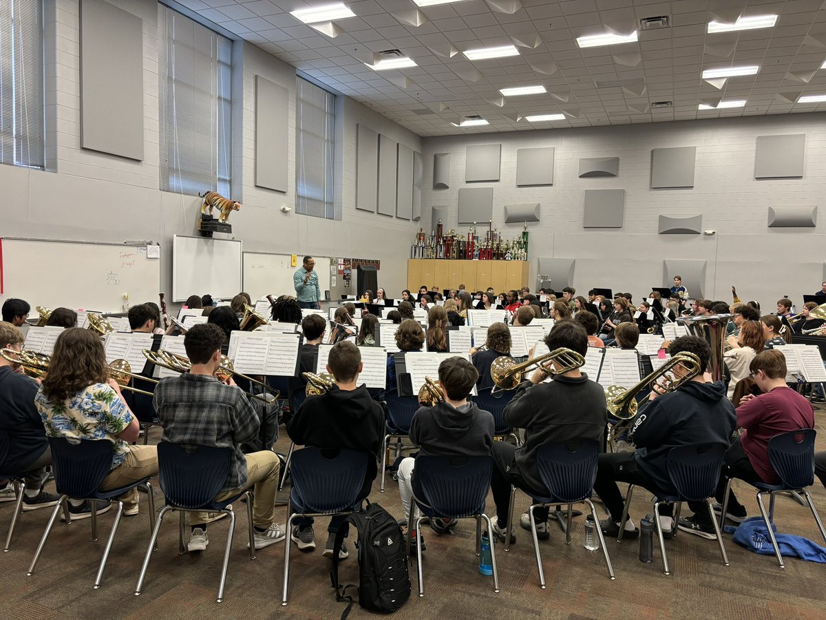 Lion Pride Bands tweet media