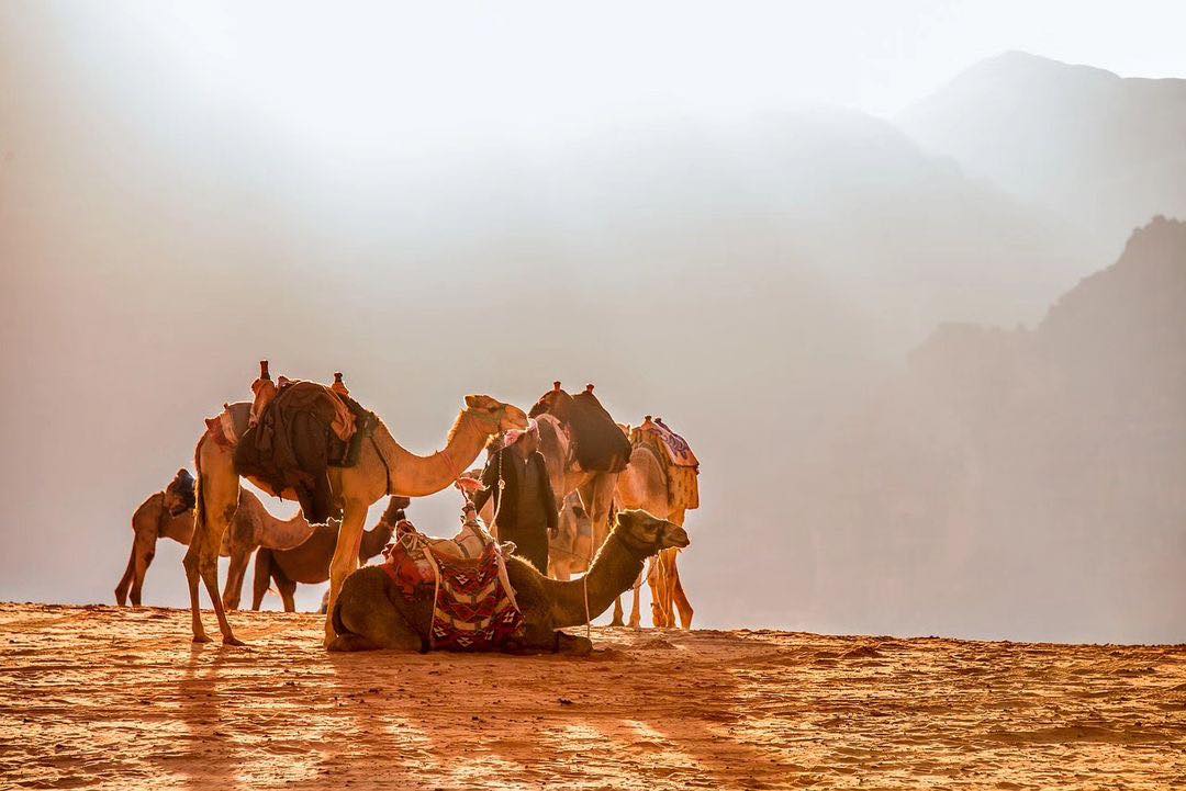 Wadi Rum🐪❤️🇯🇴
 #WadiRum #Jordan #DesertLife #TravelJordan #ExploreToCreate #AdventureTime #CamelRides