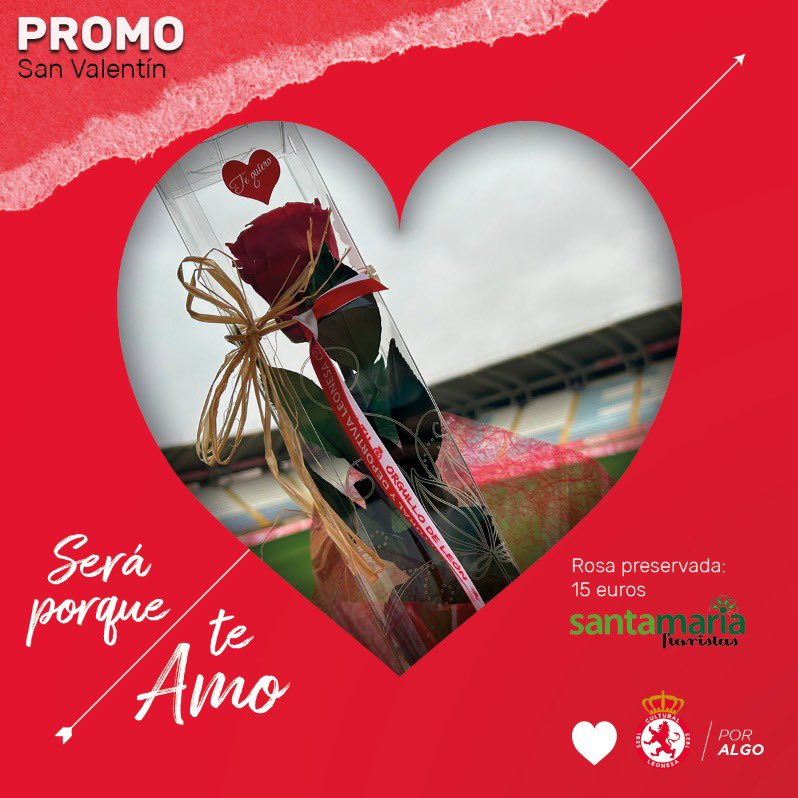 CyDLeonesa's tweet photo. ❤️ 𝐏𝐑𝐎𝐌𝐎 𝑆𝑎𝑛 𝑉𝑎𝑙𝑒𝑛𝑡𝑖́𝑛 ❤️

🌹 ¿Buscas el mejor regalo para tu pareja? Compra en nuestra Tienda Oficial una rosa preservada con un toque culturalista gracias a @FloresStaMaria 

#AúpaCultu https://t.co/cFlLXqGE0A