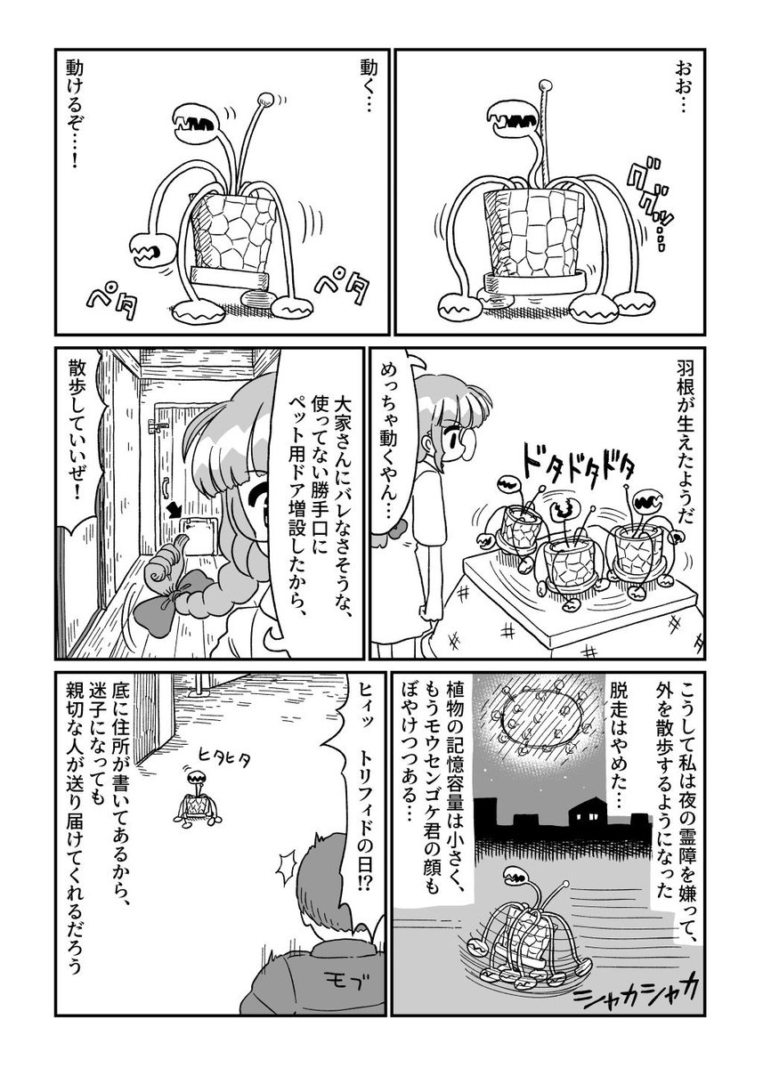 おれが野ちゃん 第6回 夜間徘徊の巻 (3/3)
