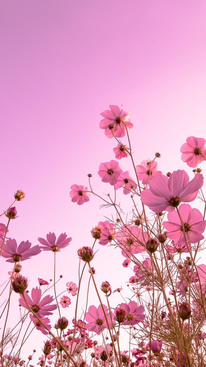 aestheticspost_'s tweet photo. https://t.co/s7keIx5day