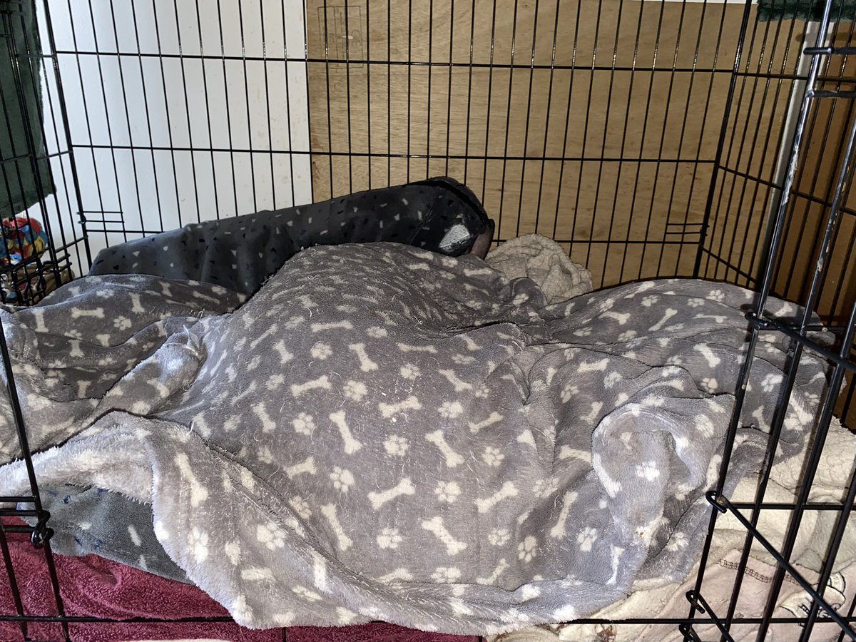 no Trevor’s to see here😴