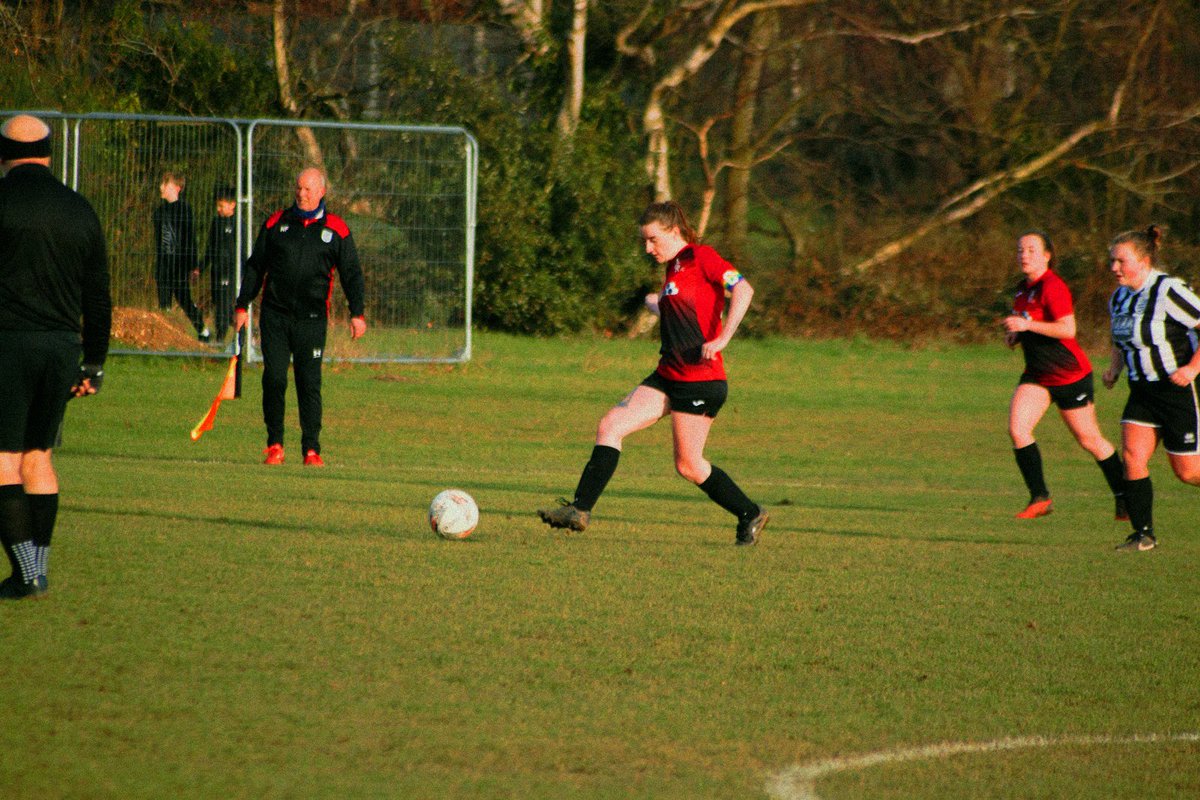 Collier & Catchpole tweet media