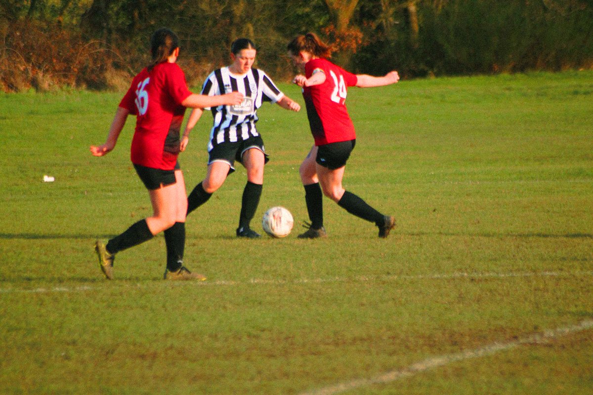 Collier & Catchpole tweet media