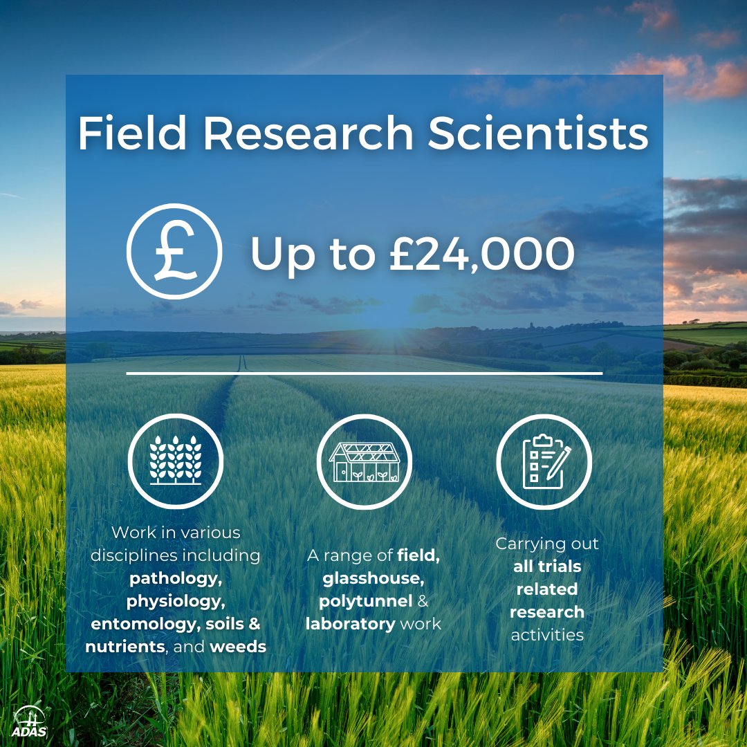 ADAS (@adasgroup) on Twitter photo We're looking for Field Research Scientists in a range of locations!
Rosemaund 👉 adas.current-vacancies.com/Jobs/Advert/33…
Boxworth 👉adas.current-vacancies.com/Jobs/Advert/33…
High Mowthorpe 👉adas.current-vacancies.com/Jobs/Advert/33…
Gleadthorpe 👉adas.current-vacancies.com/Jobs/Advert/33…
Apply today ⭐️
#researchjobs #agriculture #Horticulture We're looking for Field Research Scientists in a range of locations!
Rosemaund 👉 adas.current-vacancies.com/Jobs/Advert/33…
Boxworth 👉adas.current-vacancies.com/Jobs/Advert/33…
High Mowthorpe 👉adas.current-vacancies.com/Jobs/Advert/33…
Gleadthorpe 👉adas.current-vacancies.com/Jobs/Advert/33…
Apply today ⭐️
#researchjobs #agriculture #Horticulture