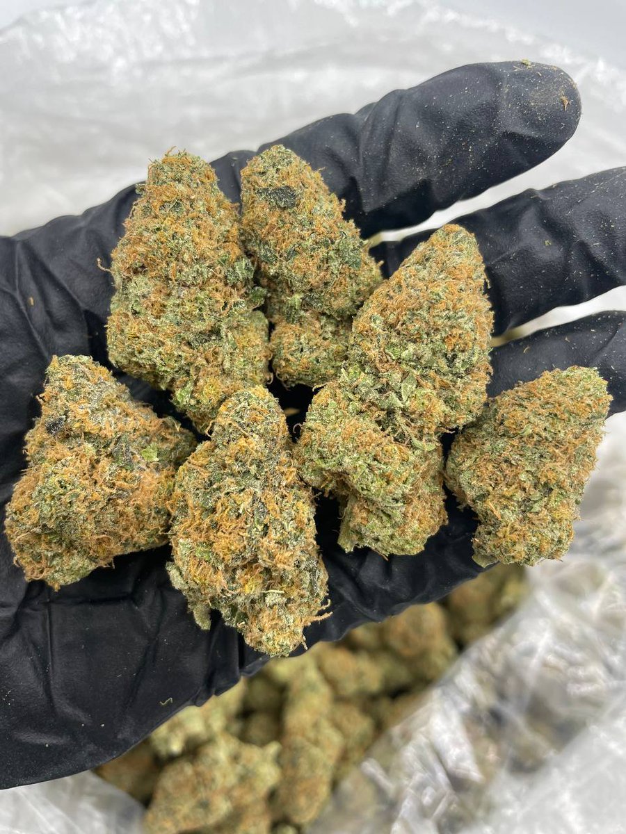 LiftedleafHQ's tweet photo. Blue Zushi https://t.co/1izzNTsWPt