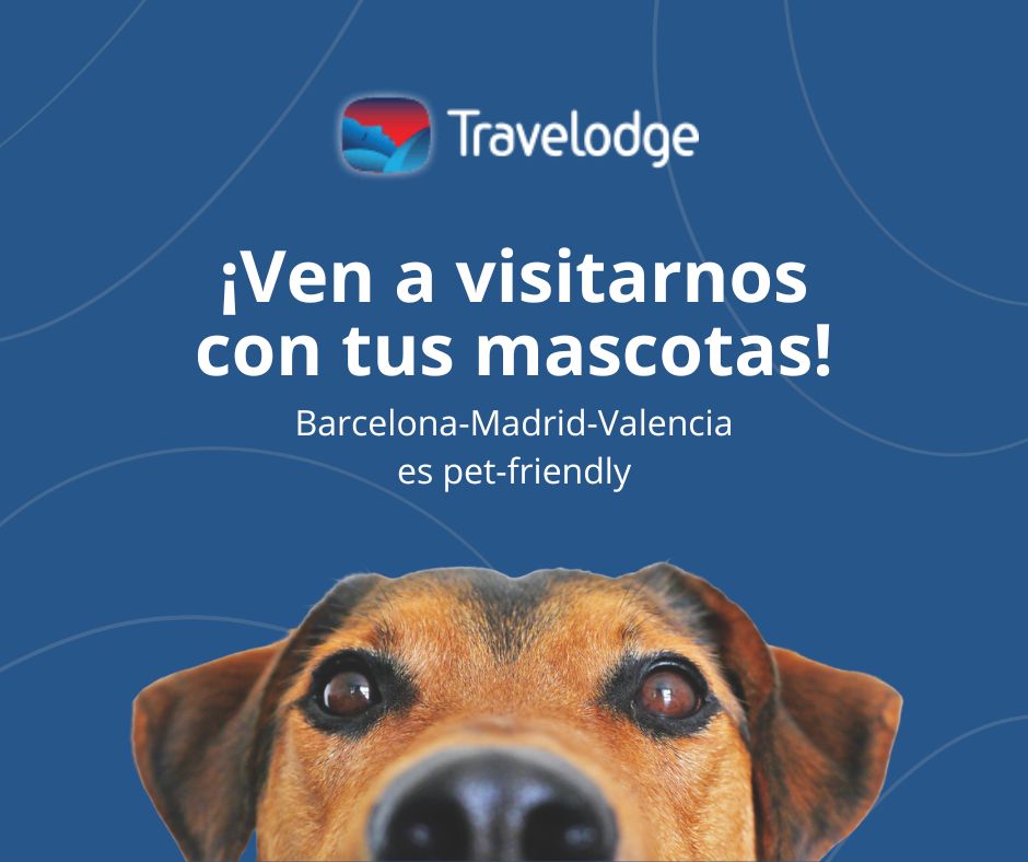 En Travelodge, creemos que tus mascotas también merecen unas vacaciones🐶¡Descubre nuestras opciones pet-friendly y disfruta de momentos inolvidables con tu fiel compañero!🐾 ✅travelodge.es✅
.
.
#hotel #viajes #madrid #barcelona #valencia #petfriendlyhotel #turismo