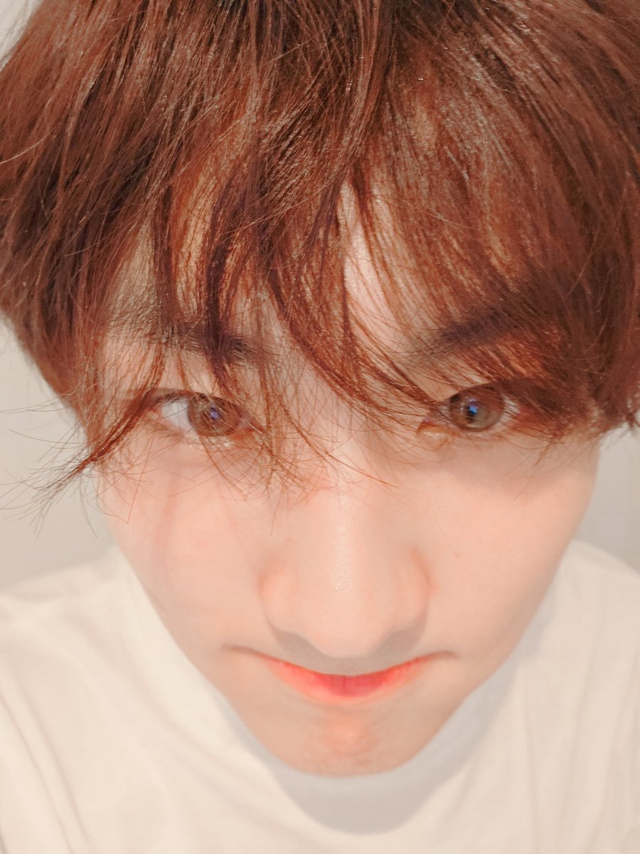 algeightt's tweet photo. @bluemoiselle #JUNGWONisFOREVERYANG #사랑의_꽃말은_스 물한살_양정원  #JUNGWON #ENHYPEN @ENHYPEN_members https://t.co/OtKmVc3nL1