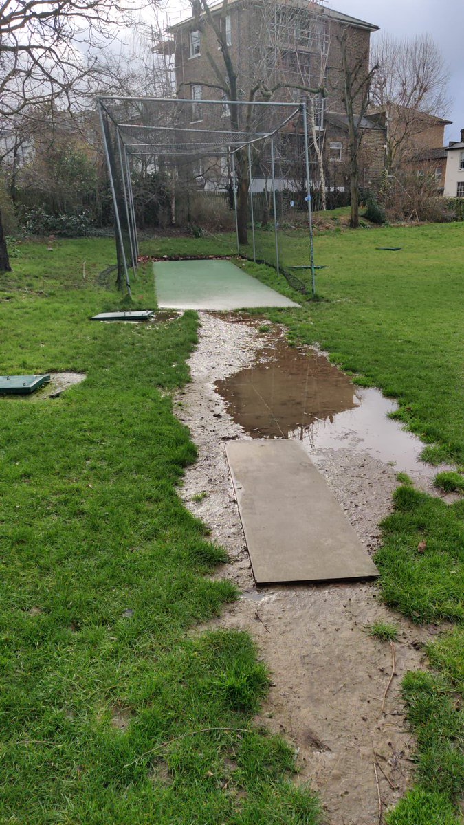 mysidecricket tweet media