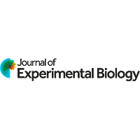 SEBiology's tweet photo. 🔬 Calling all science communicators! 

Don't miss out on this incredible opportunity to hone your skills at the @J_Exp_Biol Science Communication Workshop during the #SEBconference !

👉 Learn more: https://t.co/L7ZiOErZtX

Apply now before April 30th! 🗓️

#ScienceCommunication https://t.co/nH2W8TJBBY