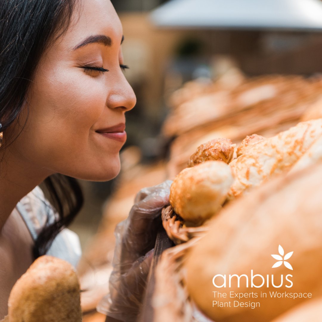 Ambius_IE's tweet photo. Trigger positive moods! Your customers will be stepping into a warm and welcoming atmosphere with Ambius' premium scenting. 
Visit our website for more information on scenting: https://t.co/52yBFrULrW
#scenting #interiorscenting https://t.co/jwkbgTQKjx