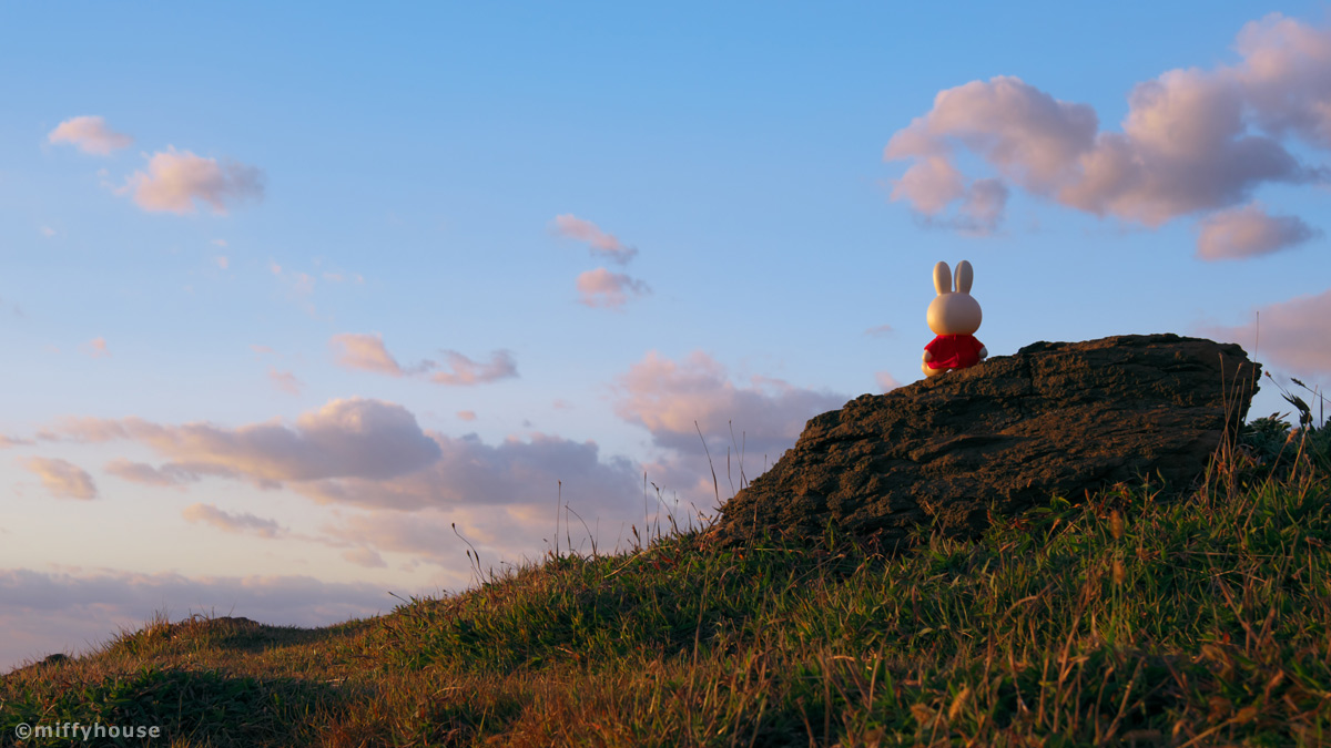 あっ、終わっちゃった…