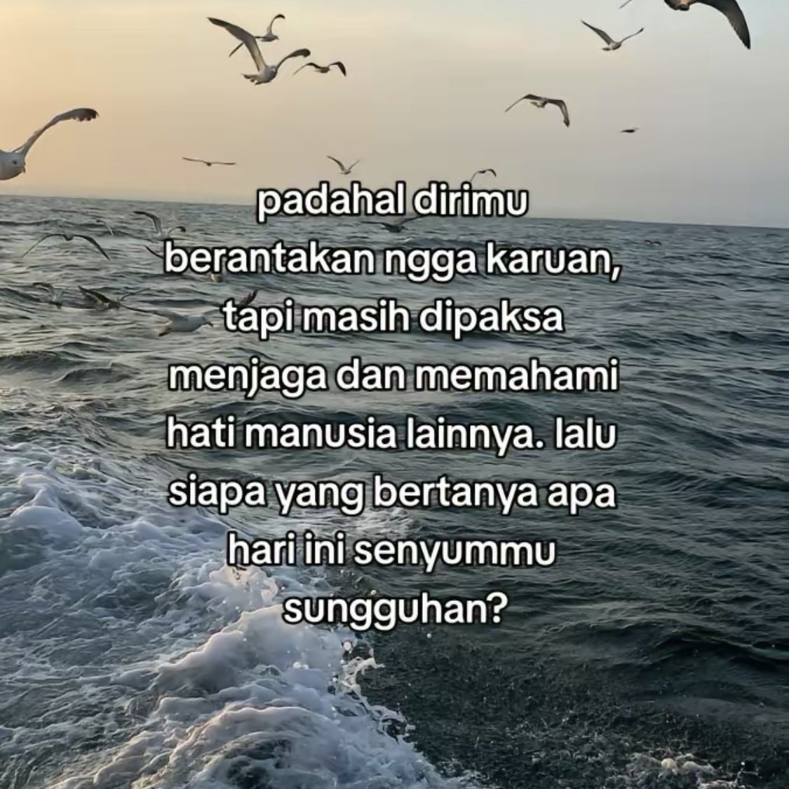 devararsdx's tweet image. 