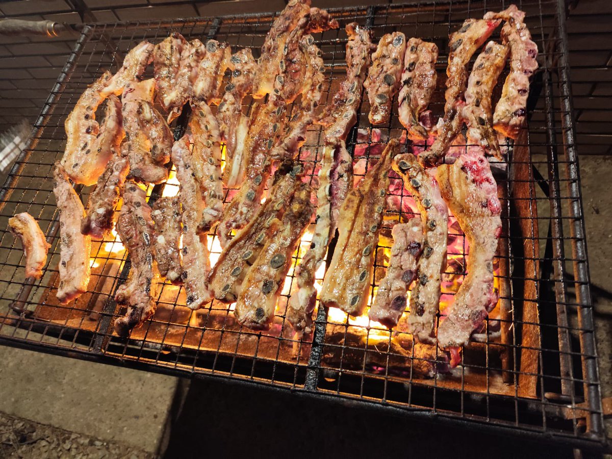 Club de Futbol Begur tweet media