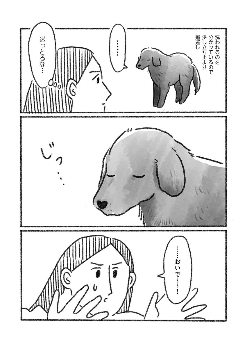 老犬Aとの暮らしをつづった絵日記です💐  老犬とお風呂(1/2)