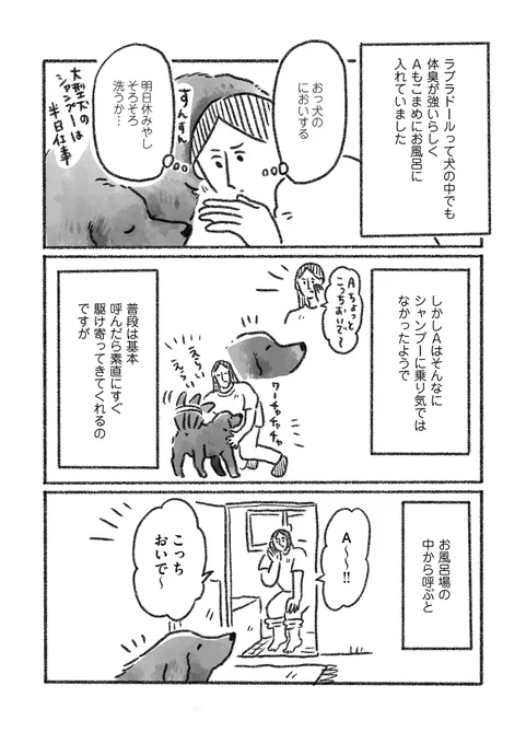 老犬Aとの暮らしをつづった絵日記です💐  老犬とお風呂(1/2)