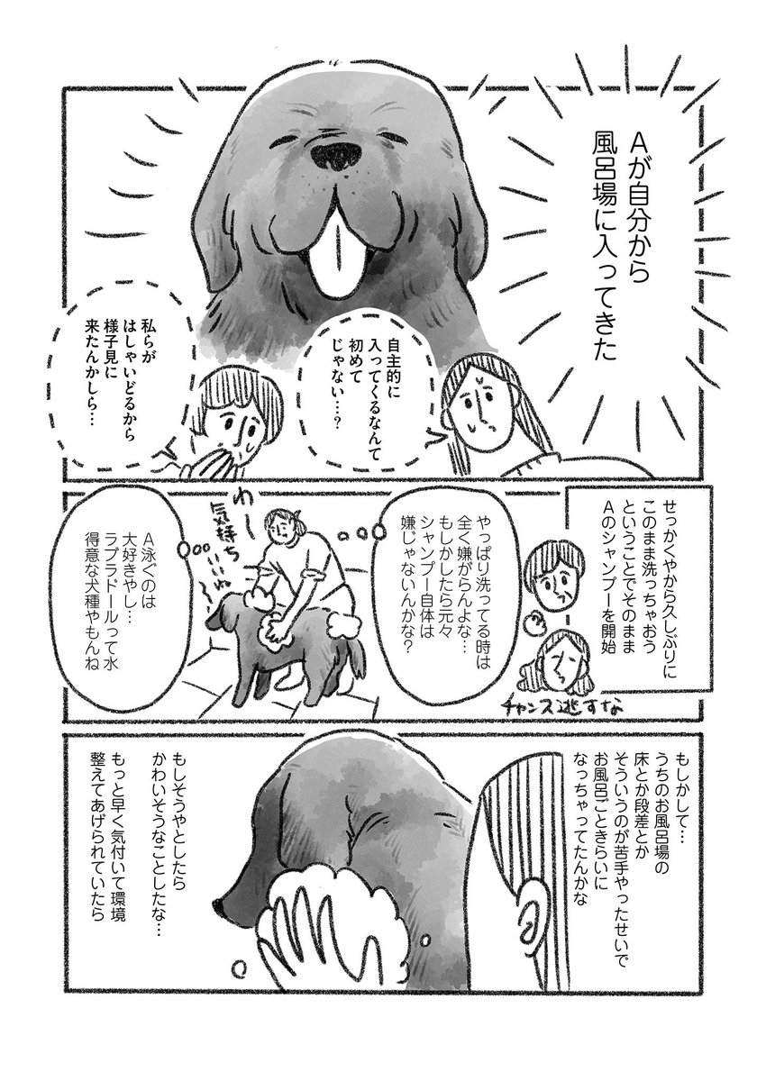 老犬とお風呂(2/2)  他の絵日記たちもリンク先からたくさん読んでいただけます🐕‍🦺🦮ぜひ大切なことが描いてある「はじめに」からお読みください💐 