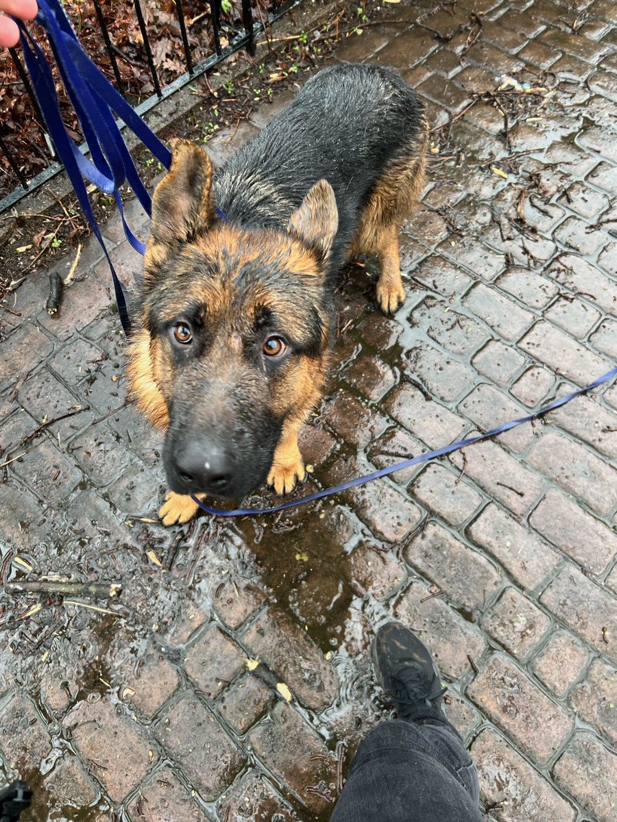 North Warks Police tweet media