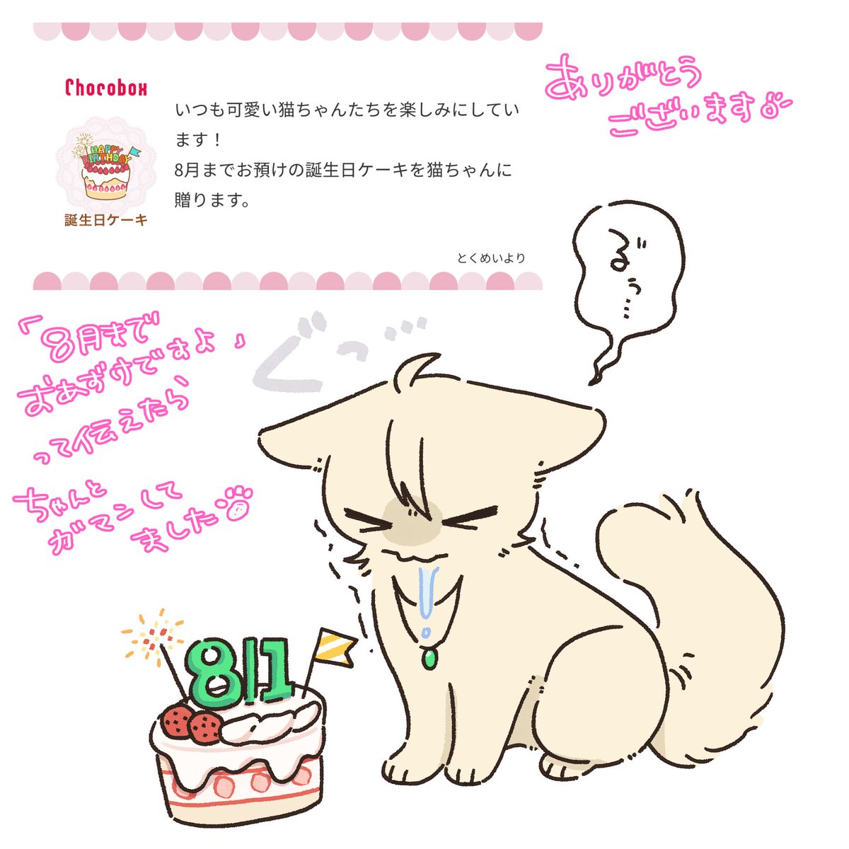 https://t.co/f0joIoKmUv #チョコボックス🍫 #chocobox_atm4472
※擬獣化
「まて」の出来るねこみょ