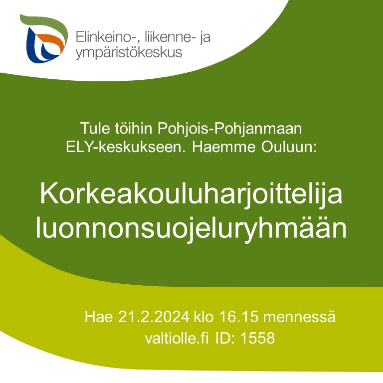 Pohjois-Pohjanmaan ELY-keskus hakee korkeakouluharjoittelijaa luonnonsuojeluryhmään. Harjoittelu sisältää avustavia tehtäviä mm. luontotyyppi- ja lajikartoituksissa. Haku 21.2. klo 16.15 mennessä osoitteessa valtiolle.fi ID: 1558. #rekry #rekrytointi #ELYkeskus