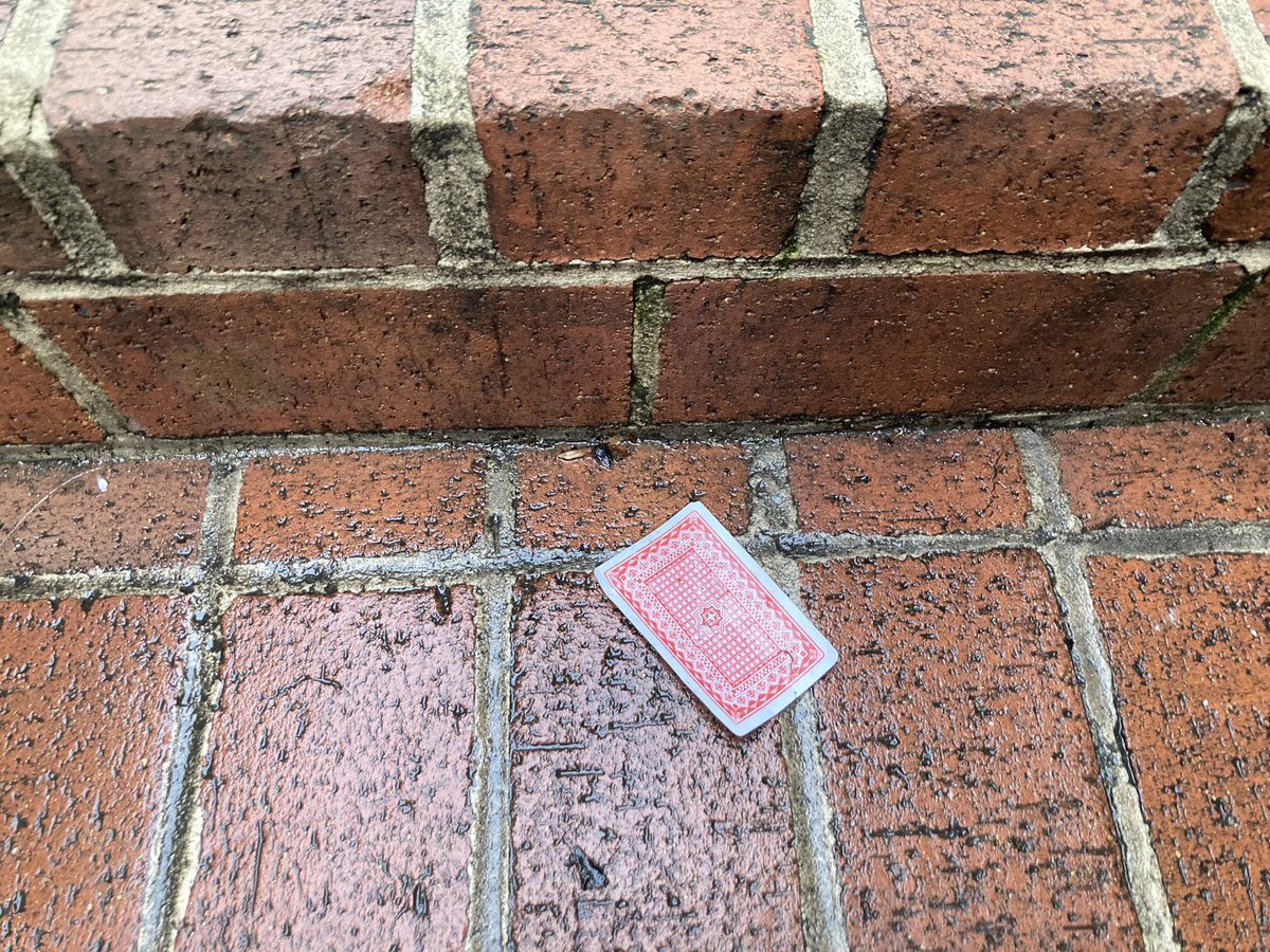 Pat Marsh tweet media