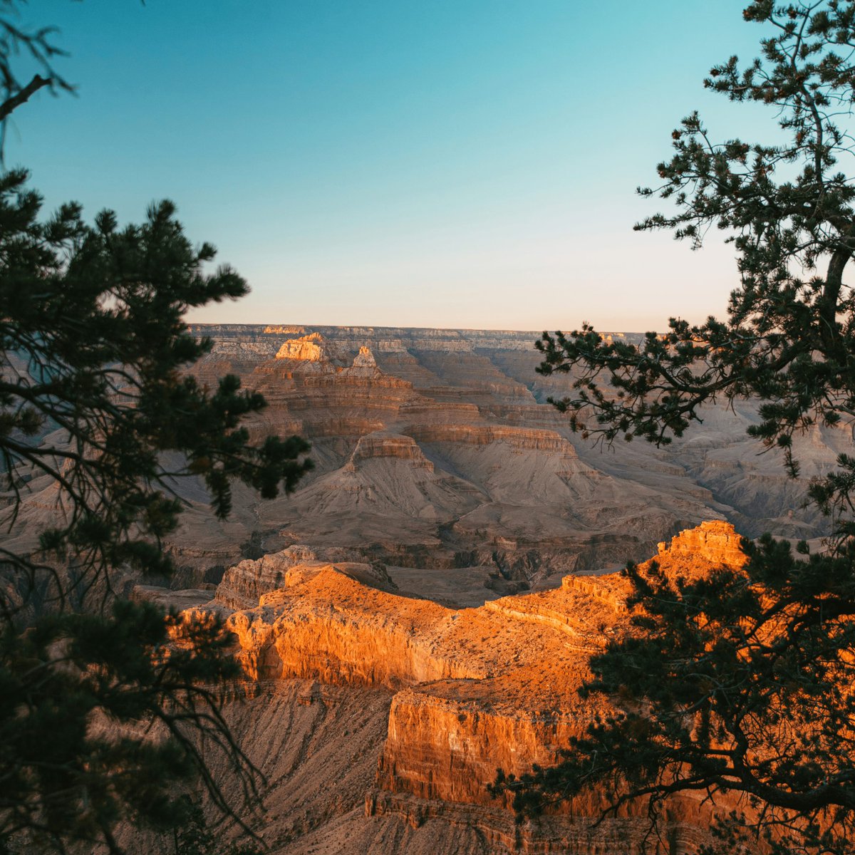 L’AVENTURE S’AGRANDIT 🌍
Les Floralies Internationales accueillent des partenaires floraux du monde entier. 🌼
Le paysage époustouflant que vous observez, est une métaphore de la diversité naturelle du prochain pays mystère qui se dévoilera aux Floralies.
Une idée ?