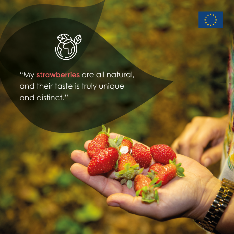 eu_enlargement_'s tweet photo. Weβre supporting sustainable farming through the #EUTFSyria π±
Raz mastered beekeeping techniques with πͺπΊ#EU-funded permaculture training, boosting development & allowing her strawberry fields to thrive π
Discover how we help those affected by the Syrian & Iraqi crises ‡οΈ