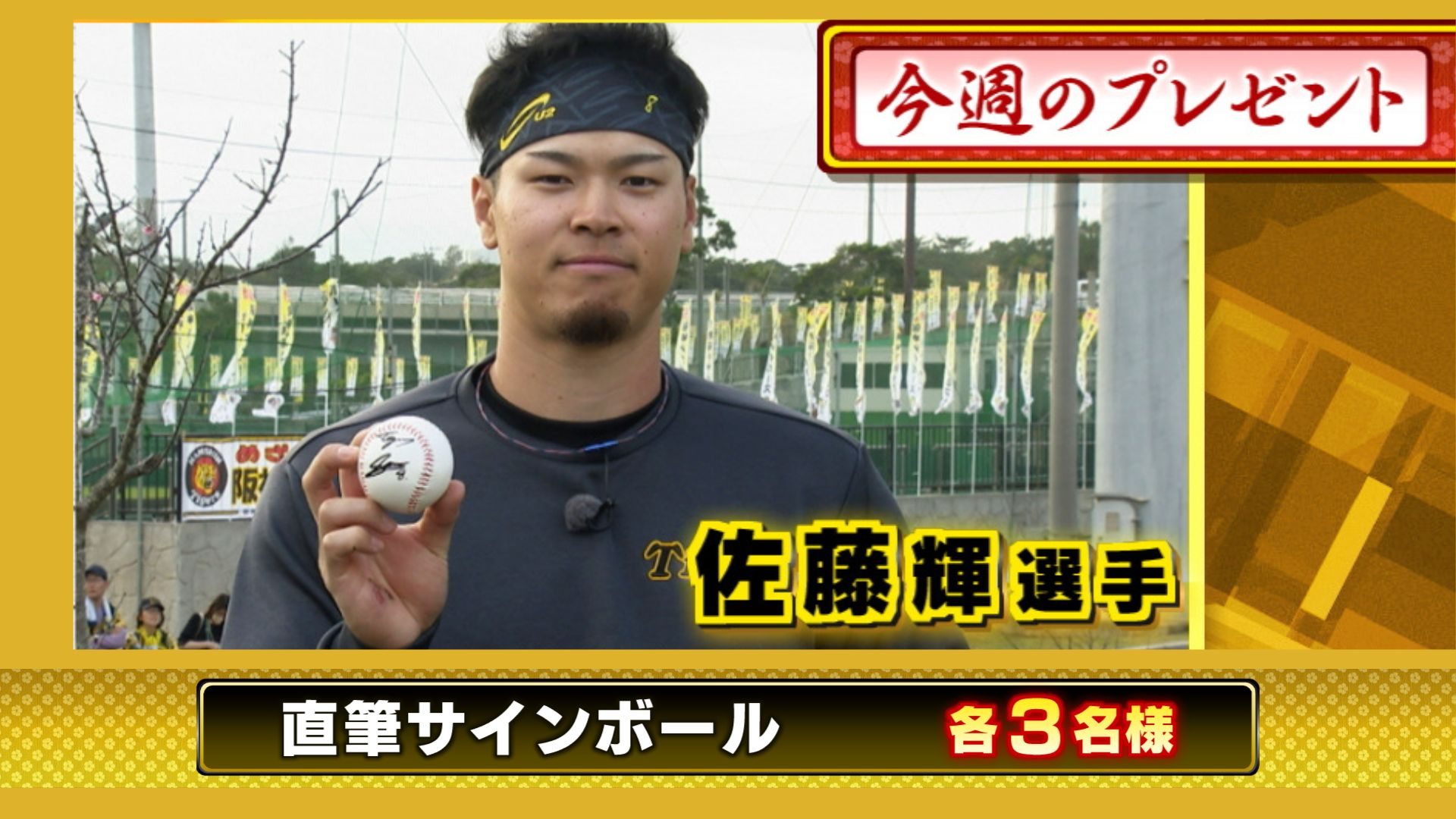 阪神タイガース 佐藤輝明 サイン入りボール 佐藤輝明 阪神タイガース NPB統一球シリアルナンバー入り 直筆