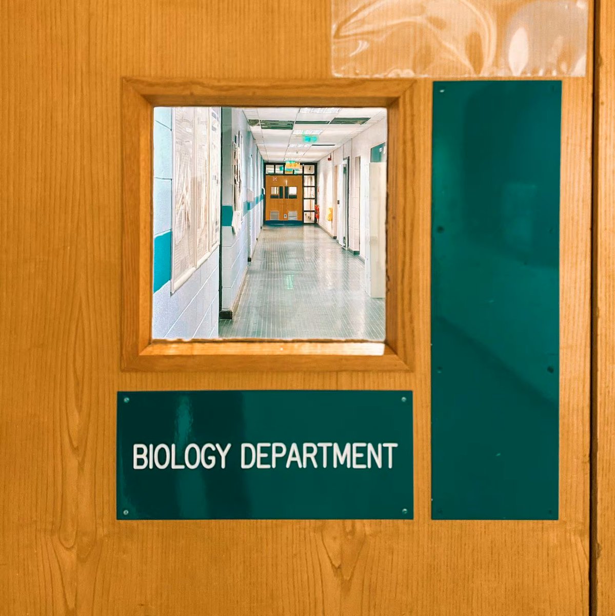 David Maguire, who works as an IT administrator in MU, had his photo of the Biology Dept featured in the travelling Accidentally Wes Anderson exhibition.🔬 irishtimes.com/culture/film/2… 📸Do you have a potential Accidentally Wes Anderson pic of MU? Tag us and we'll share!