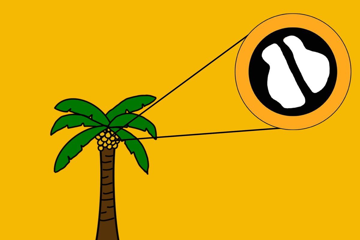 ACROCOMIA🌴: What is it and why is it so important?The Macauba palm is a novel crop that has sparked popularity in the scientific community due to its resilient properties and sustainability potential.🌿

Find out more:acroalliance.info
<a href="/UniHohenheim/">Uni Hohenheim</a>  #macauba #agriculture