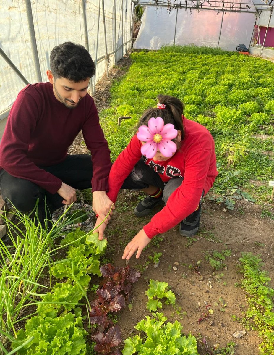 bafraegitimuyg2's tweet photo. Üreten, gelişen ve büyüyen Ülkemizin bir parçası olmaktan mutluluk duyuyoruz.

Seramızda kendimiz ektik, kendimiz topladık, kendimiz yedik:)

Ayağı toprağa değen mutlu insanlar için çalışmaya devam ediyoruz. https://t.co/hB87qlnv7I
