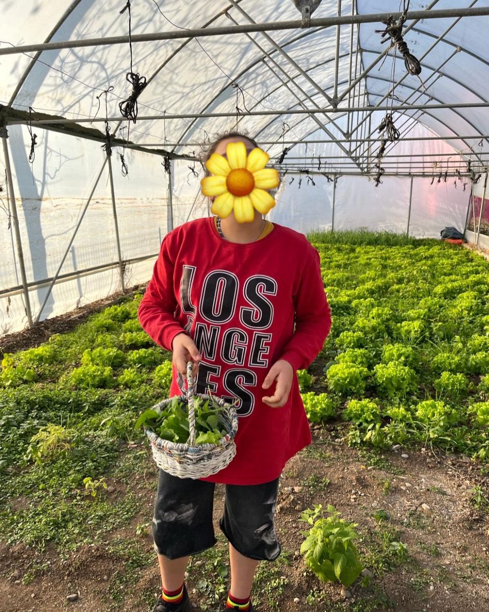 bafraegitimuyg2's tweet photo. Üreten, gelişen ve büyüyen Ülkemizin bir parçası olmaktan mutluluk duyuyoruz.

Seramızda kendimiz ektik, kendimiz topladık, kendimiz yedik:)

Ayağı toprağa değen mutlu insanlar için çalışmaya devam ediyoruz. https://t.co/hB87qlnv7I