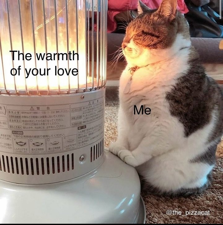 FluffyPlanet_'s tweet photo. Purrfectly cozy by the heater! 🐱🔥@the_pizzacat

 #warmandfuzzy #heaterhappiness #cozycat #warmwhiskers #felinefireplace #snuggleseason https://t.co/3PkdzrEGaF